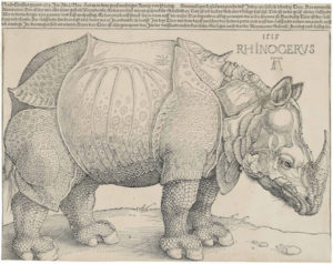 Lecture d’été, et d’à propos. Rhinocéros l’allégorie d’un